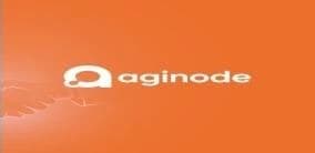 Logo Aginode