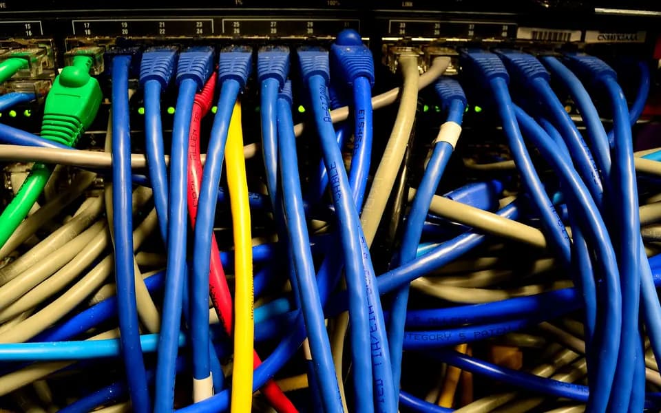 Câbles réseau Ethernet branchés sur un commutateur